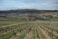 Châteaux, vignes et pierres dorées Châteaux, vignes et pierres dorées