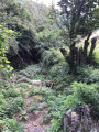 À la recherche des chemins perdus de haute Ardèche À la recherche des chemins perdus de haute Ardèche