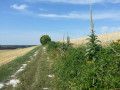 Sentier du Croît Sentier du Croît