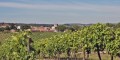 Pas à pas dans le bourg de Saint-Preuil Pas à pas dans le bourg de Saint-Preuil