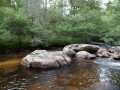 Le Bois de Chaleix à Bugeat Le Bois de Chaleix à Bugeat