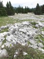 Parking de Beure - Plaine de la Queyrie - Pas des Chattons Parking de Beure - Plaine de la Queyrie - Pas des Chattons