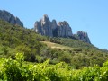 Le Tour des Dentelles de Montmirail Le Tour des Dentelles de Montmirail