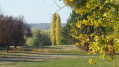 Entre l'étang de Salcys et l'Yonne Entre l'étang de Salcys et l'Yonne