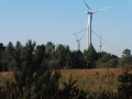 Dans le bois de Saint-Gildas entre chapelle et éoliennes Dans le bois de Saint-Gildas entre chapelle et éoliennes