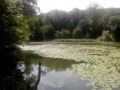 Du côté de Saint-Cucufa Du côté de Saint-Cucufa
