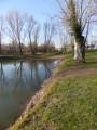 Les deux forts à Irigny Les deux forts à Irigny