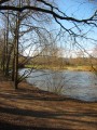 Dans le Parc de l'Embanie Dans le Parc de l'Embanie