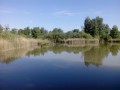 La Réserve Naturelle du Marais de Reuves La Réserve Naturelle du Marais de Reuves
