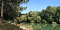 Face à l'île de Pissevinaigre Face à l'île de Pissevinaigre