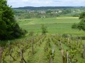 Sur la route du fer et des mirabelles Sur la route du fer et des mirabelles