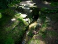 Dans le Bois Farost Dans le Bois Farost