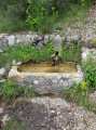 Balade aux alentours de Courmes Balade aux alentours de Courmes