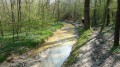 Le bonheur du 1er Mai Le bonheur du 1er Mai