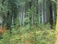 Sur les traces de Jean Ségurel Sur les traces de Jean Ségurel