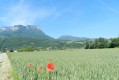 La Plaine des Marches La Plaine des Marches