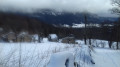 En forêt des Coulmes du Faz à la Goulandière En forêt des Coulmes du Faz à la Goulandière