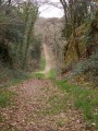 En lisière du Bois du Névet En lisière du Bois du Névet