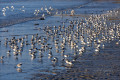 De Dossen à la Pointe de l'Oppidum De Dossen à la Pointe de l'Oppidum