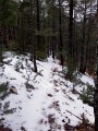 Une boucle vers le Rat dans le Massif du Mont Ventoux Une boucle vers le Rat dans le Massif du Mont Ventoux