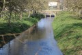 Entre fontaines et rivière du côté de Fontenille-Saint-Martin-d'Entraigues Entre fontaines et rivière du côté de Fontenille-Saint-Martin-d'Entraigues