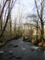À la découverte de la vallée de l'Abloux à Prissac À la découverte de la vallée de l'Abloux à Prissac