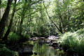 Découverte de l'Anglin, des ruines de Brosse au Moulin de Seillant Découverte de l'Anglin, des ruines de Brosse au Moulin de Seillant