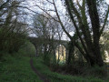 Balade nature à Béruges Balade nature à Béruges