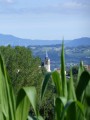 Sur les hauteurs de Marcellaz-Albanais Sur les hauteurs de Marcellaz-Albanais