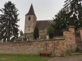Dans les forêts de Hunawihr et Riquewihr Dans les forêts de Hunawihr et Riquewihr