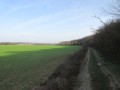 Dans la campagne autour d'Oresmaux Dans la campagne autour d'Oresmaux