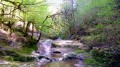 Les gorges de la Brême Les gorges de la Brême