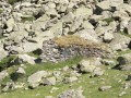 Au-dessus de Barèges, le Col de Tracens Au-dessus de Barèges, le Col de Tracens