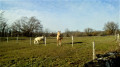 Vallée de la Cance à Vernosc-les-Annonay Vallée de la Cance à Vernosc-les-Annonay