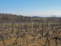 Les coteaux de Maclas Les coteaux de Maclas