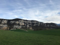 Le Banchet en boucle : jonquilles et Château de Montbel Le Banchet en boucle : jonquilles et Château de Montbel