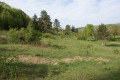 Le Sentier du Loup à Sommeval Le Sentier du Loup à Sommeval