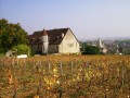 Sentier des crêtes Gevrey à Fixin Sentier des crêtes Gevrey à Fixin