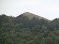 Randonnée en Forêt de Saoû Randonnée en Forêt de Saoû