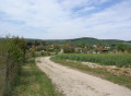 Le Sentier du Loup par la Pelouse aux Orchidées et la Forêt de Javernant Le Sentier du Loup par la Pelouse aux Orchidées et la Forêt de Javernant