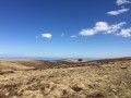 Entre forêts et hautes chaumes du Forez Entre forêts et hautes chaumes du Forez