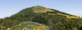 La Tour des Poignets, entre lande et forêt La Tour des Poignets, entre lande et forêt