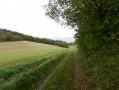 Boucle campagnarde aux abords de la vallée de la Taupe Boucle campagnarde aux abords de la vallée de la Taupe
