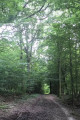 Petit parcours de marche rapide vers Germaine Petit parcours de marche rapide vers Germaine