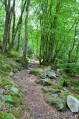 Lac de Guerlédan Lac de Guerlédan