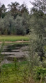 Petite balade autour de Saint-Cricq Petite balade autour de Saint-Cricq