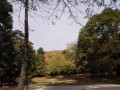 Le Bois des Ussiaux Le Bois des Ussiaux