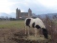 De Jarrie au Château de Bon Repos en passant par Montchaboud De Jarrie au Château de Bon Repos en passant par Montchaboud