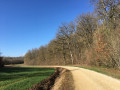 Vignes et bois autour de Champignol-lez-Mondeville Vignes et bois autour de Champignol-lez-Mondeville