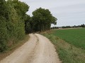 Les Cabanes de Vigne près d'Asnières-en-Poitou Les Cabanes de Vigne près d'Asnières-en-Poitou